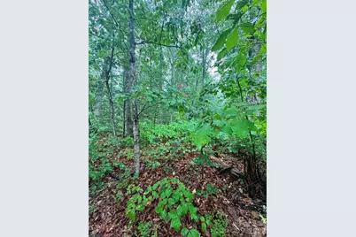 0 Lhasa Apso Lane, Iron Station, NC 28080 - Photo 5