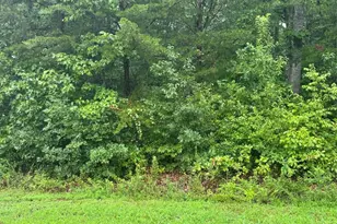 0 Lhasa Apso Ln, Iron Station, NC 28080 - Photo 1