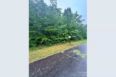 0 Lhasa Apso Lane, Iron Station, NC 28080 - Photo 3