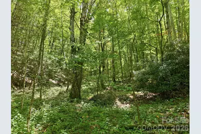 1158 Dark Ridge Road, Sylva, NC 28779 - Photo 5