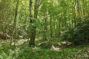 1158 Dark Ridge Rd, Sylva, NC 28779 - Photo 5