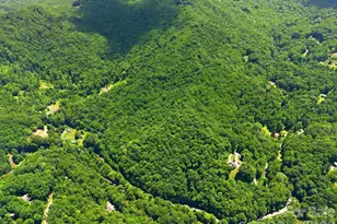 1158 Dark Ridge Rd, Sylva, NC 28779 - Photo 3