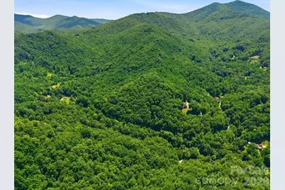 1158 Dark Ridge Road, Sylva, NC 28779 - Photo 9