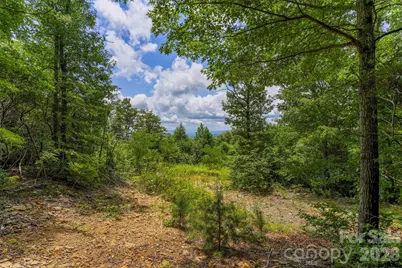 705 Pine Ridge Road #59, Hendersonville, NC 28792 - Photo 9