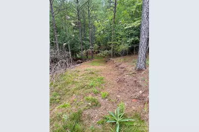 116 Cranberry Lane, Mooresboro, NC 28114 - Photo 13