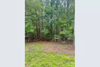 116 Cranberry Lane, Mooresboro, NC 28114 - Photo 9