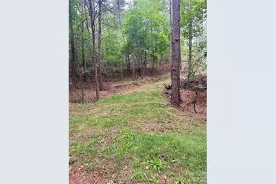 116 Cranberry Lane, Mooresboro, NC 28114 - Photo 11