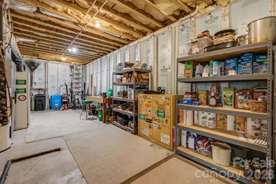138 Bear Paw Drive, Brevard, NC 28712 - Photo 37