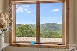 138 Bear Paw Dr, Brevard, NC 28712 - Photo 29