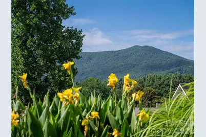 125 Craggy Street, Black Mountain, NC 28711 - Photo 17