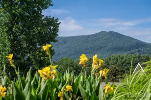 125 Craggy St, Black Mountain, NC 28711 - Photo 17