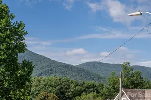 125 Craggy St, Black Mountain, NC 28711 - Photo 43