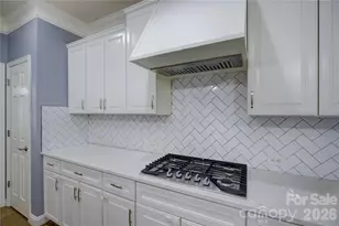 16815 Crosshaven Dr, Charlotte, NC 28278 - Photo 15