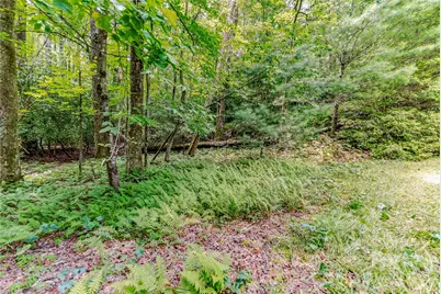 129 Nodatsi Court, Brevard, NC 28712 - Photo 41