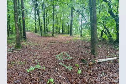 0 Sherrills Ford Road, Sherrills Ford, NC 28673 - Photo 3