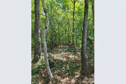 5326 Forestwinds Drive, York, SC 29745 - Photo 5