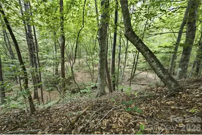 316-318 Cane Creek Mountain Road, Union Mills, NC 28167 - Photo 43