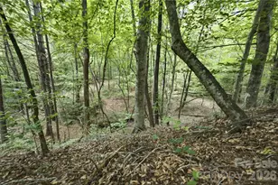 316-318 Cane Creek Mountain Rd, Union Mills, NC 28167 - Photo 43