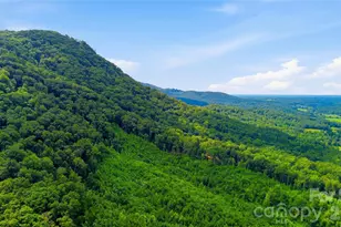 316-318 Cane Creek Mountain Rd, Union Mills, NC 28167 - Photo 29