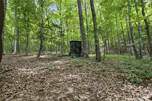 316-318 Cane Creek Mountain Rd, Union Mills, NC 28167 - Photo 39