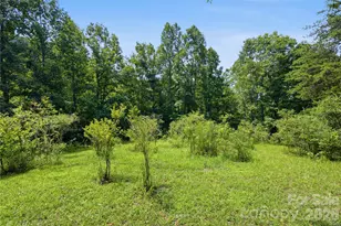 316-318 Cane Creek Mountain Rd, Union Mills, NC 28167 - Photo 31