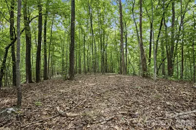 316-318 Cane Creek Mountain Road, Union Mills, NC 28167 - Photo 41