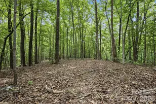 316-318 Cane Creek Mountain Rd, Union Mills, NC 28167 - Photo 41