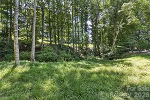 100 Titleist Way, Hendersonville, NC 28739 - Photo 7