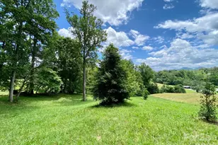 48 Sweet Fern Pkwy, Asheville, NC 28804 - Photo 1
