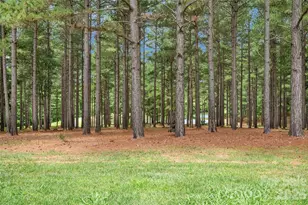 1910 Nc Hwy 134 Hwy N, Troy, NC 27371 - Photo 39