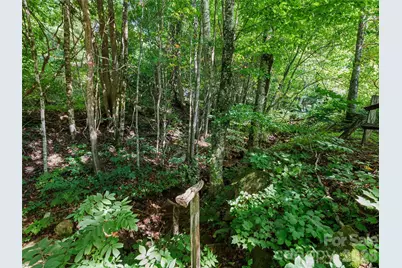51 Atari Road, Waynesville, NC 28786 - Photo 31
