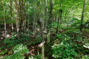 51 Atari Rd, Waynesville, NC 28786 - Photo 31