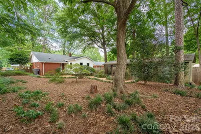2911 Enfield Road, Charlotte, NC 28205 - Photo 31