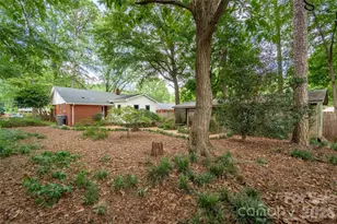 2911 Enfield Rd, Charlotte, NC 28205 - Photo 31