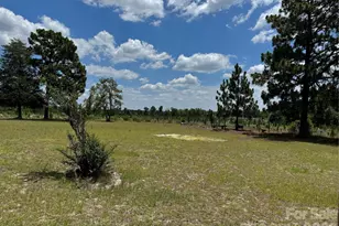 2401 Woodward Mill Rd, Ruby, SC 29741 - Photo 3