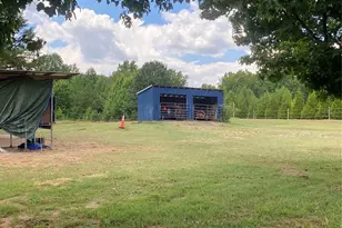 1568 John Smith Rd, Columbus, NC 28722 - Photo 17