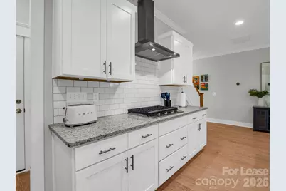 572 Sweet Birch Park Lane, Black Mountain, NC 28711 - Photo 13