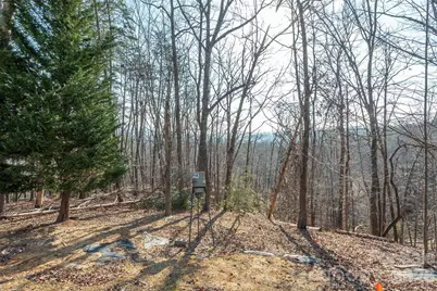 192 Buzzards Place, Lake Lure, NC 28746 - Photo 15