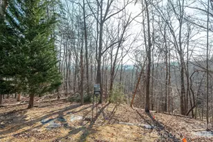 192 Buzzards Pl, Lake Lure, NC 28746 - Photo 15