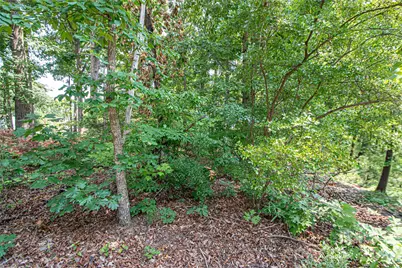0 Sarah Drive #119, Denver, NC 28037 - Photo 3