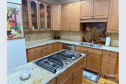 421 Spring Street, Davidson, NC 28036 - Photo 5