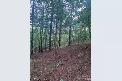 0 Clearwater Parkway #203, Rutherfordton, NC 28139 - Photo 21