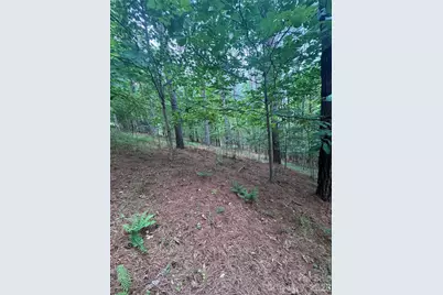0 Clearwater Parkway #203, Rutherfordton, NC 28139 - Photo 5