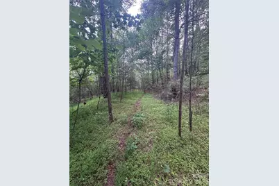 0 Clearwater Parkway #203, Rutherfordton, NC 28139 - Photo 7