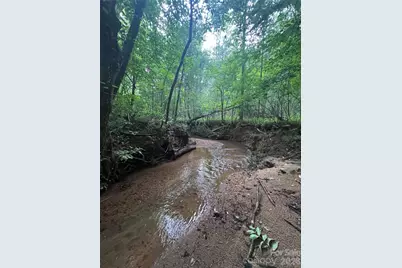 0 Clearwater Parkway #203, Rutherfordton, NC 28139 - Photo 3