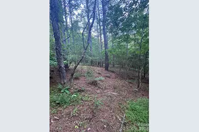 0 Clearwater Parkway #203, Rutherfordton, NC 28139 - Photo 17