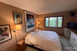 298 Tinequa Dr, Brevard, NC 28712 - Photo 15