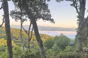 298 Tinequa Dr, Brevard, NC 28712 - Photo 3