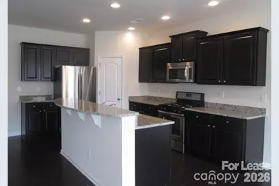1008 Perennial Lane, Indian Trail, NC 28079 - Photo 3