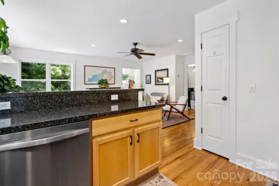 24 Browndale Road, Asheville, NC 28805 - Photo 15